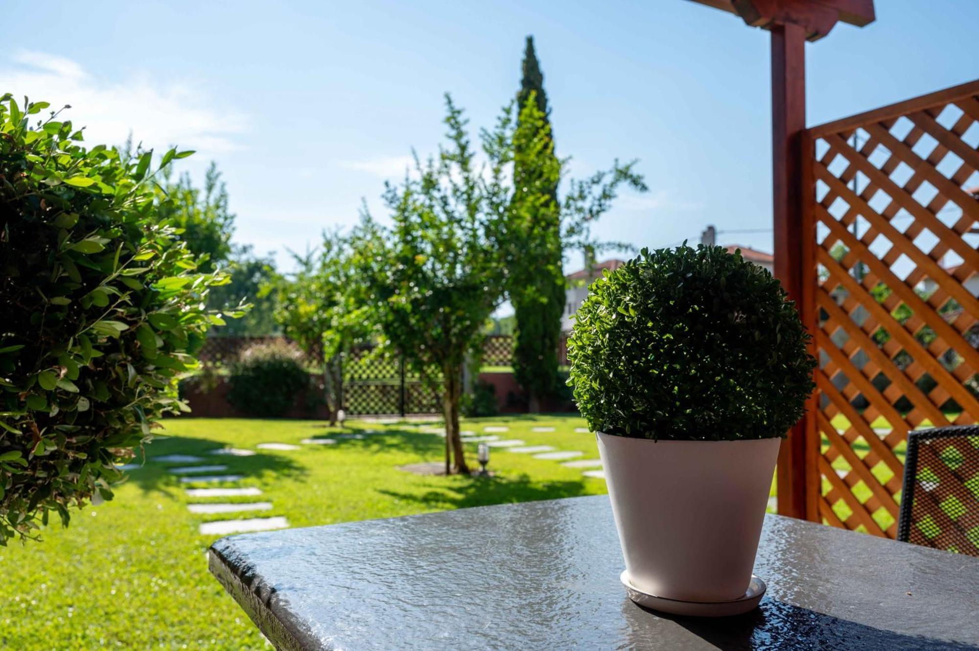 Melograno Apartments And Studios Kala Nera Exterior foto